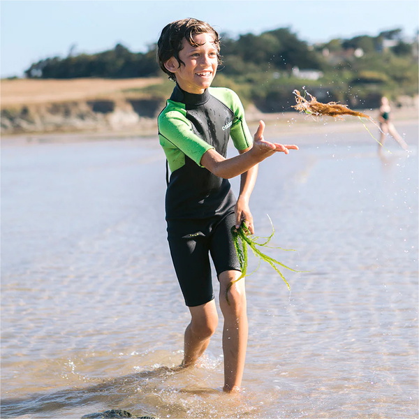 2026 C-Skins Enfants Element 3/2mm Back Zip Shorty Combinaison Néoprène C-EL32SHJ - Anthracite / Lime
